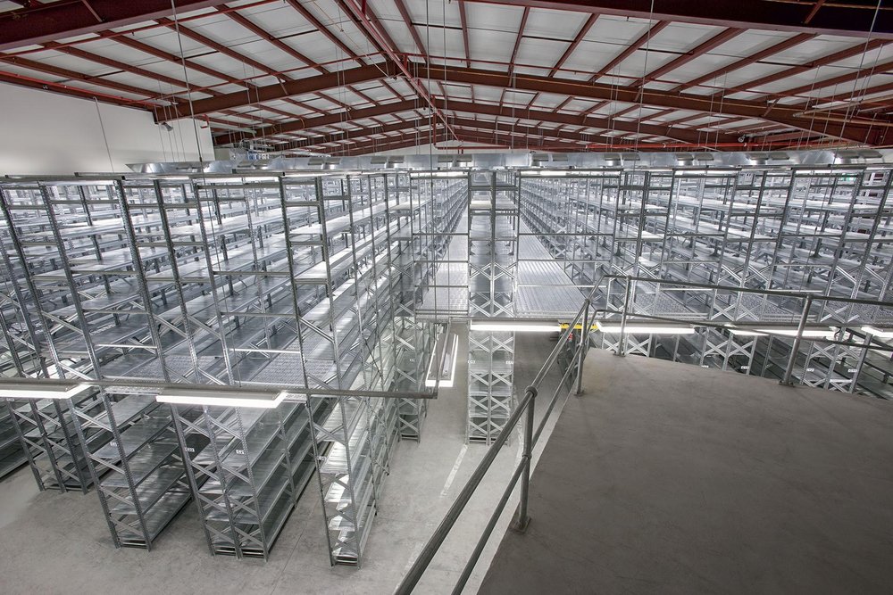 Multi tier shelving in a warehouse